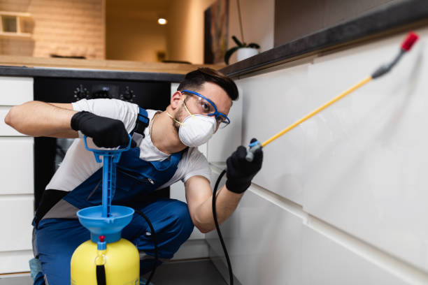 Best Best Pest Control Companies  in El Jon, CA