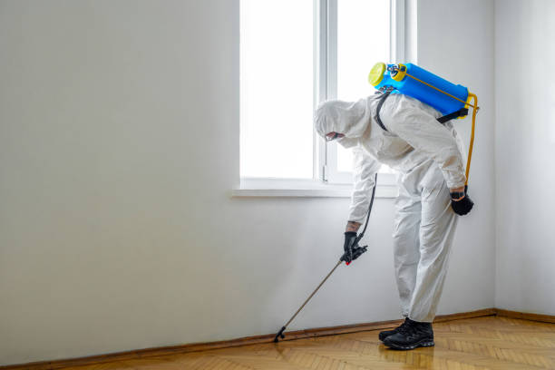 Best Pest Control for Homes  in El Jon, CA