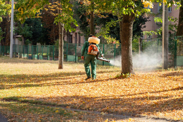 Best Termite Control Services  in El Jon, CA