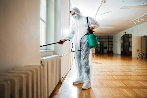 Best Flea Control Services  in El Jon, CA